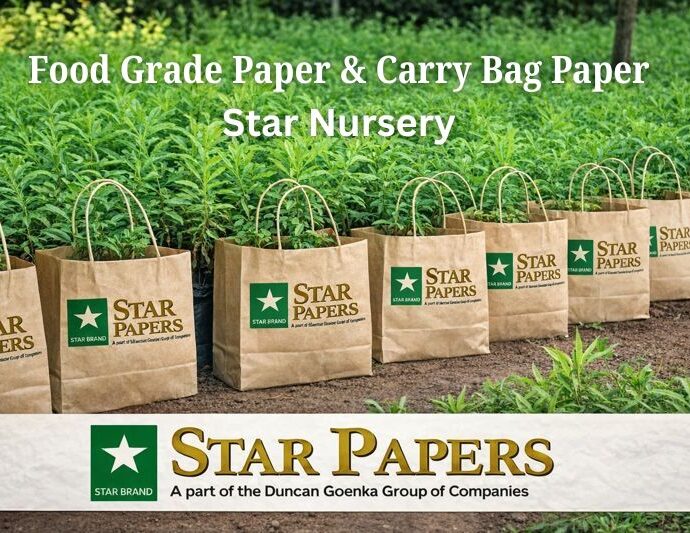 Star Nursery