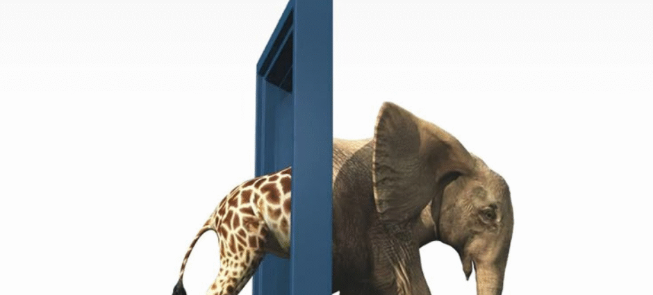 Website Development Company In Delhi NCR