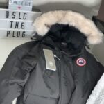 Introduction to the Paragoose Official Website