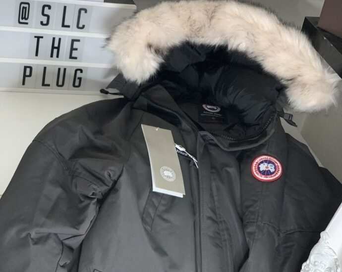 Introduction to the Paragoose Official Website