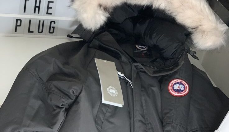 Introduction to the Paragoose Official Website