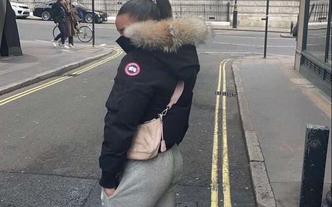 Introduction to ParagooseOfficial