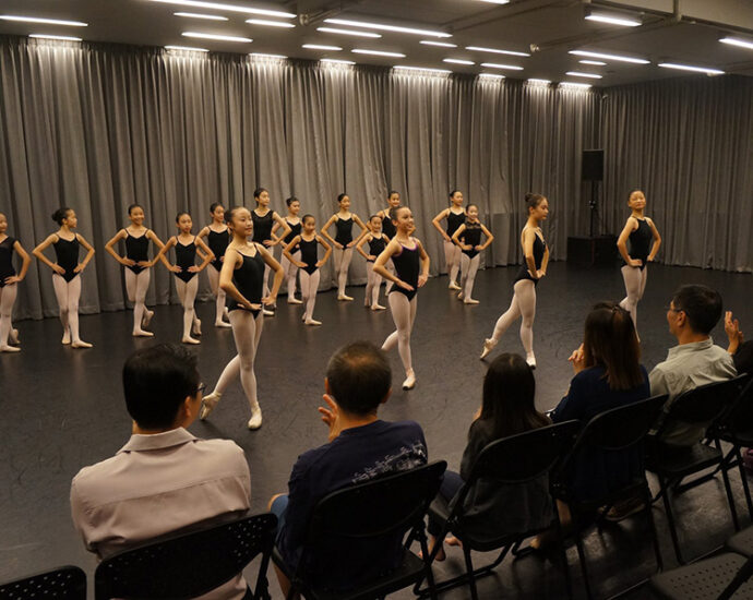 Dance academy