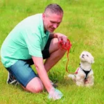 dog poop cleanup service
