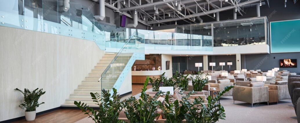 Exhibition Carpentry