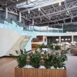 Exhibition Carpentry