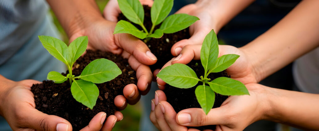 Green Certification in India